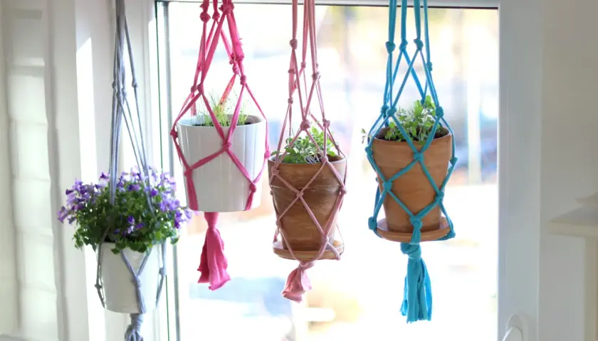 Stwórz kwietnik ścienny DIY: poradnik krok po kroku